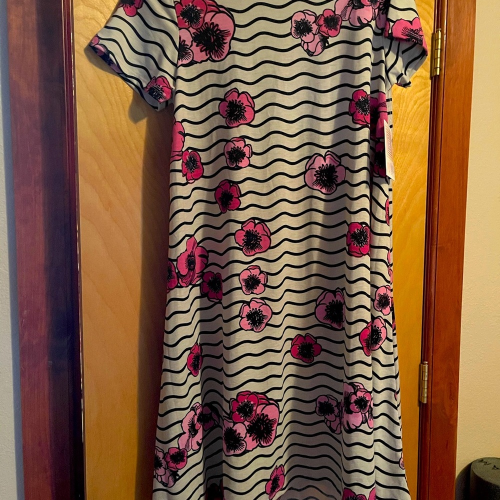 Lularoe carly medium. Nwt